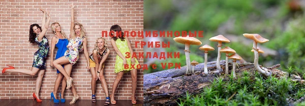 СК Абдулино