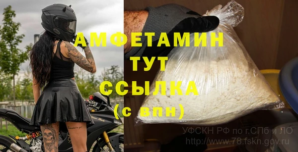 молекула духа Осинники