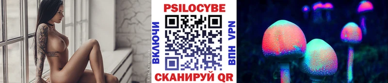 сколько стоит  Ряжск  Псилоцибиновые грибы GOLDEN TEACHER 